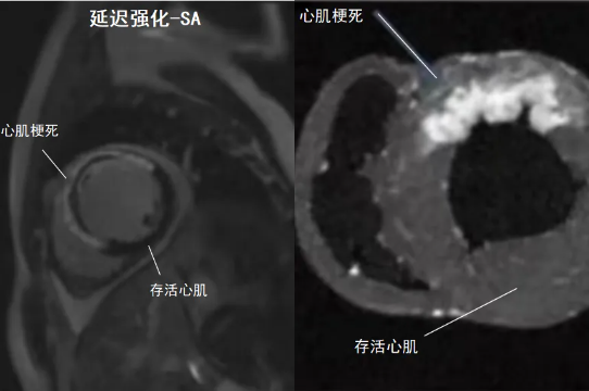 QQ截图20250507082859 QQ截图20250507082859