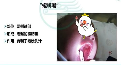 640 (3)_副本