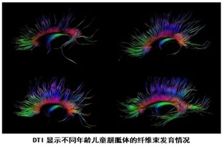 640 (4)_副本 640 (4)_副本