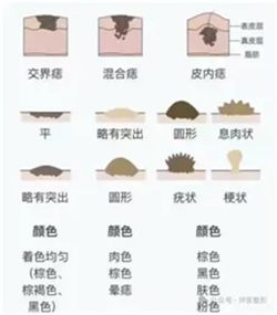640 (1)_副本 640 (1)_副本