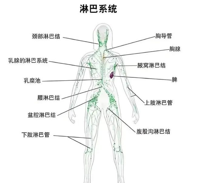 640_副本