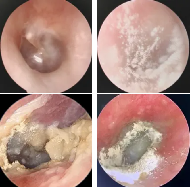 QQ截图20251111082543