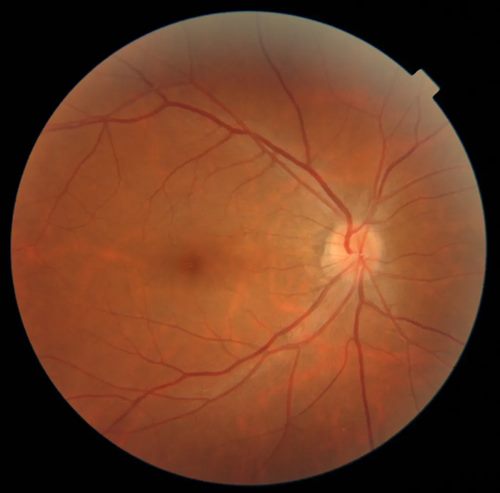 640 (1)_副本 640 (1)_副本