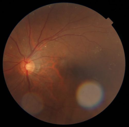 640 (5)_副本 640 (5)_副本