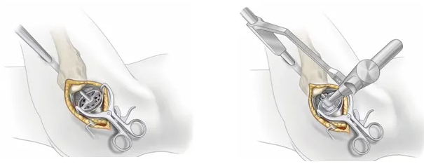 QQ截图20251205090327 QQ截图20251205090327