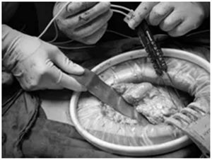 640 (3)_副本 640 (3)_副本