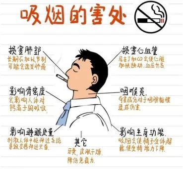 640 (1)_副本 640 (1)_副本