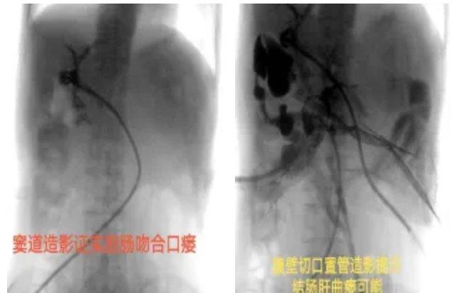 QQ截图20251230164831