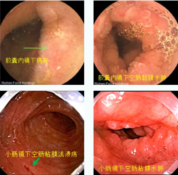 QQ截图20260117084132