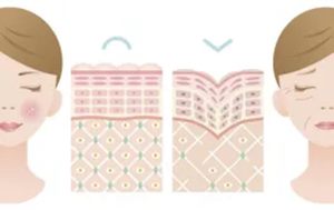 640_副本 640_副本