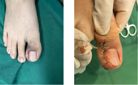 QQ截图20260202090834