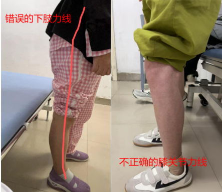 微信图片_20260202180334_1713_17