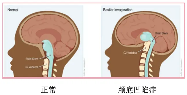 QQ截图20260205082938