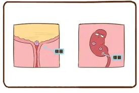 QQ截图20260209083113