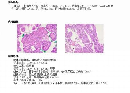 640 (3)_副本 640 (3)_副本