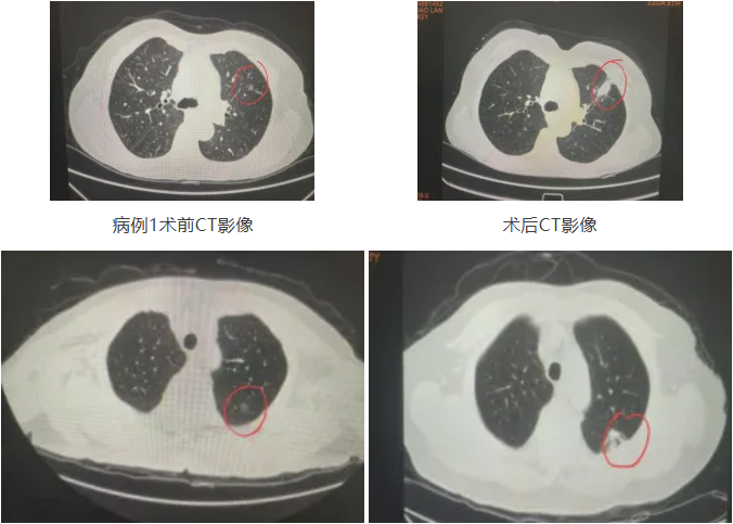 QQ截图20260213091011