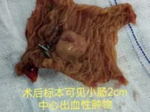 640 (2)_副本 640 (2)_副本