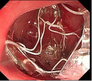 640 (1)_副本 640 (1)_副本