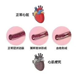 640 (2)_副本 640 (2)_副本