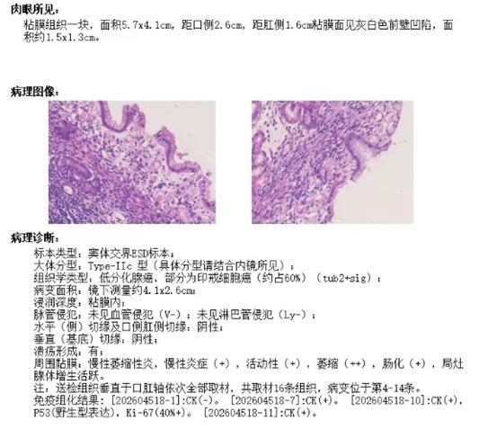 640 (4)_副本 640 (4)_副本