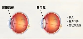 640 (3)_副本 640 (3)_副本
