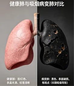 640 (2)_副本 640 (2)_副本