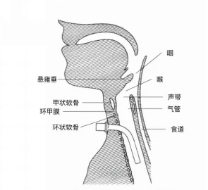 640 (1)_副本 640 (1)_副本