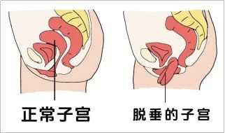 640 (1)_副本