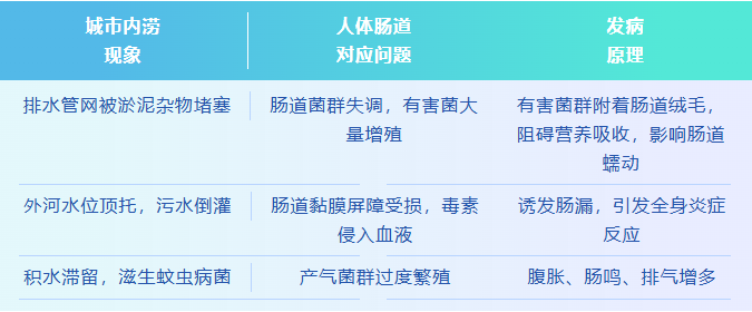 QQ截图20260825101325 QQ截图20260825101325