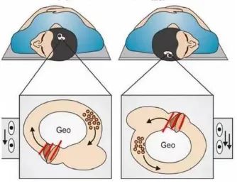 640 (1)_副本 640 (1)_副本